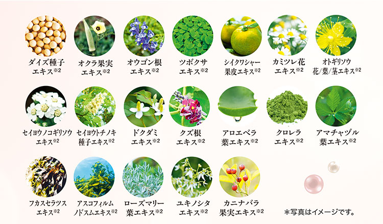 19種類の植物美容エキス ＊写真はイメージです｡